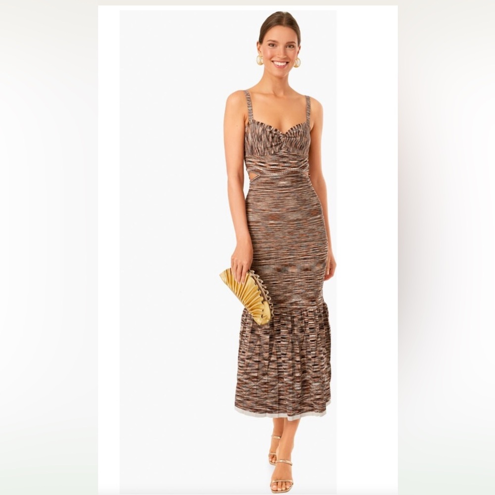 Johnathan Simkhai Chocolate Multi Shania Pleated Space Dye Maxi Dress NWT